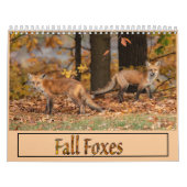 Calendrier des renards d'automne (Protection)