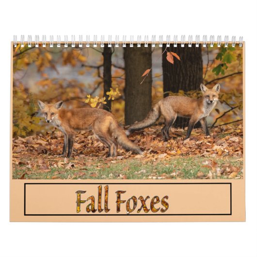 Calendrier des renards d'automne (Protection)