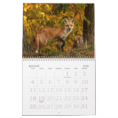 Calendrier des renards d'automne (Jan 2026)
