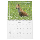 Calendrier des renards rouges (Mar 2027)