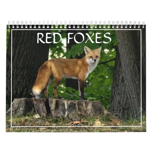 Calendrier des renards rouges (Protection)
