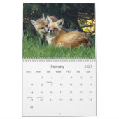 Calendrier des renards rouges mignons et amusants (Feb 2027)