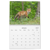 Calendrier des renards rouges mignons et amusants (Jan 2027)
