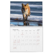 Calendrier des renards roux (Feb 2027)