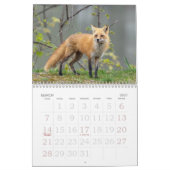 Calendrier des renards roux (Mar 2027)