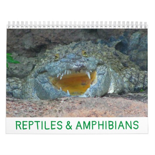 Calendrier des reptiles et des amphibiens (Protection)