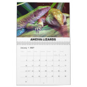 Calendrier des reptiles et des amphibiens (Jan 2027)