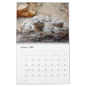 Calendrier des reptiles et des serpents (Jan 2027)