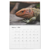 Calendrier des reptiles et des serpents (Feb 2026)