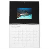 Calendrier des requins 2021 (Feb 2027)