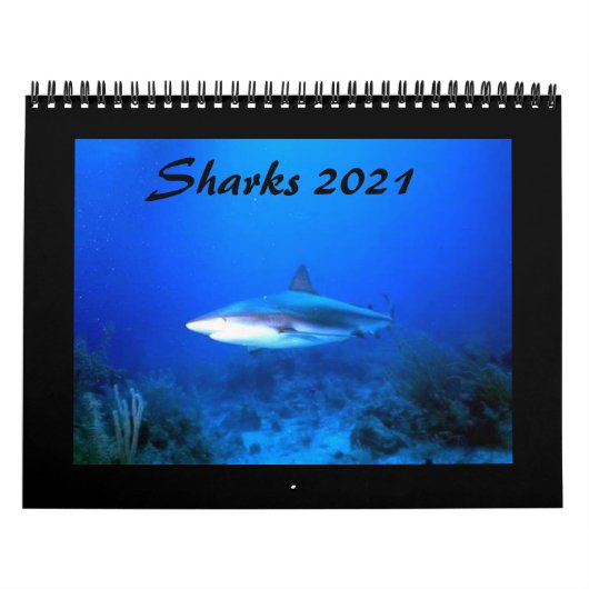 Calendrier des requins 2021 (Protection)