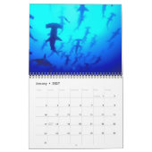 Calendrier des requins 2021 (Jan 2027)