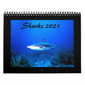 Calendrier des requins 2021 (Protection)