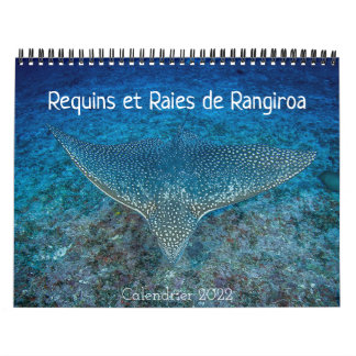 Calendrier des Requins et des Raies カレンダー