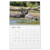 Calendrier des rhinocéros (Feb 2026)