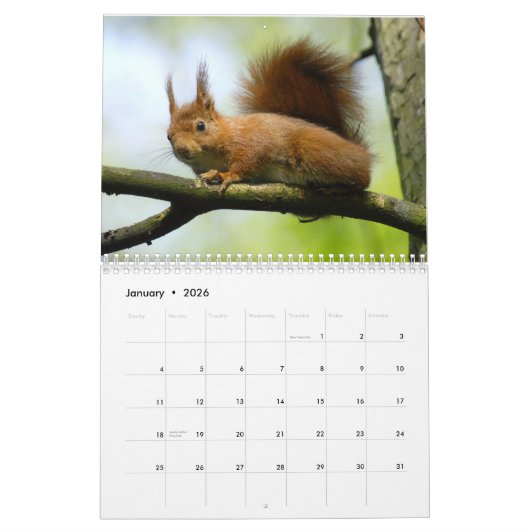 Calendrier des rongeurs (Jan 2026)