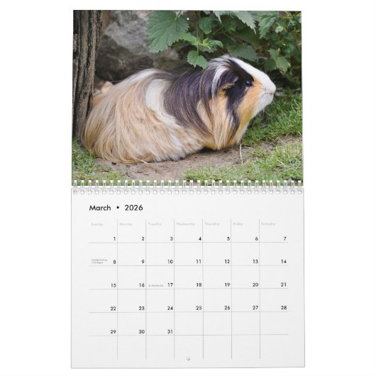 Calendrier des rongeurs (Mar 2026)