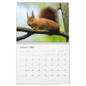 Calendrier des rongeurs (Jan 2026)