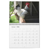 Calendrier des Roos (Jan 2026)