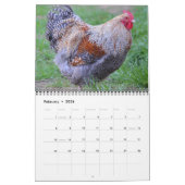 Calendrier des Roos (Feb 2026)