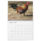 Calendrier des Roosters 2016 (Feb 2027)