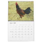 Calendrier des Roosters 2016 (Mar 2027)