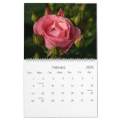Calendrier des roses 2009 (Feb 2026)