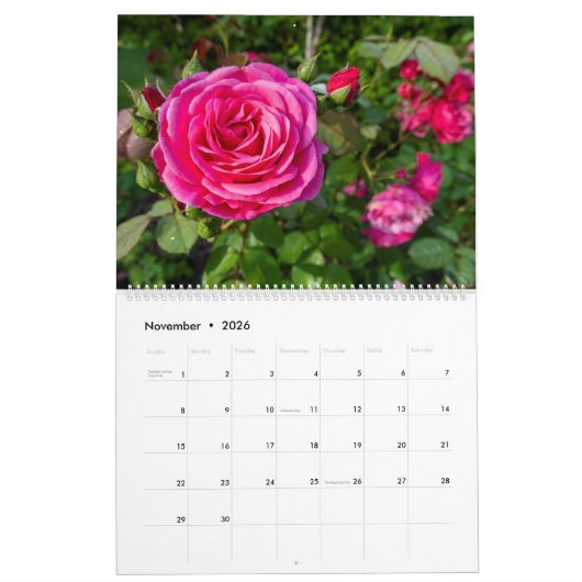 Calendrier des roses roses roses (Nov 2026)