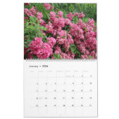 Calendrier des roses roses roses (Jan 2026)