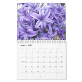 Calendrier des saisons (Mar 2027)