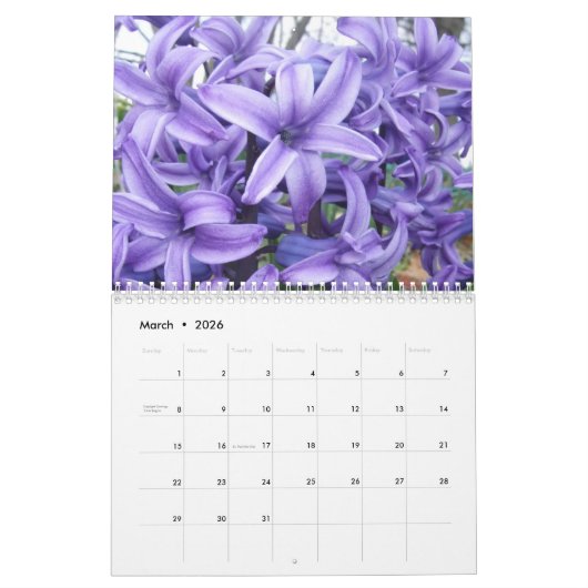 Calendrier des saisons (Mar 2026)