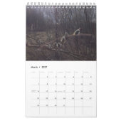 Calendrier des saisons russes 2022 (Mar 2027)