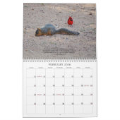 Calendrier des scènes de la nature et des versets  (Feb 2026)