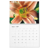 Calendrier des scènes de nature (Mar 2027)