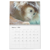 Calendrier des singes et singes 2016 (Feb 2026)