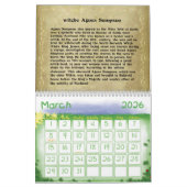 Calendrier des sorts et sorcières (Mar 2026)