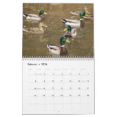 Calendrier des sportifs Mallard Ducks (Feb 2026)