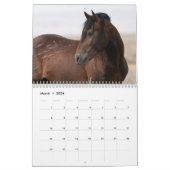 Calendrier des Stallions Sexy 2025 (Mar 2026)