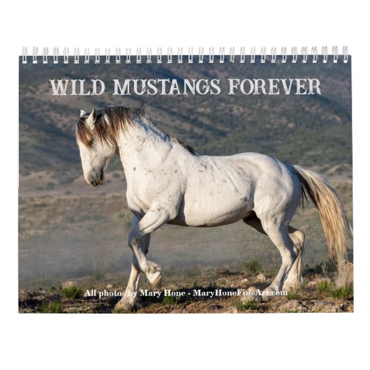 Calendrier des Stallions Sexy 2025 (Dos)