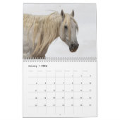 Calendrier des Stallions Sexy 2025 (Jan 2026)