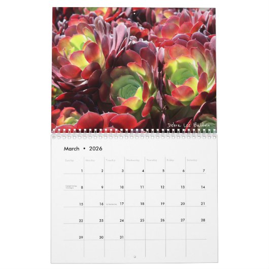 Calendrier des Succulents 2018 par Debra Lee (Mar 2026)