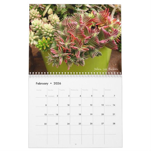 Calendrier des Succulents 2018 par Debra Lee (Feb 2026)