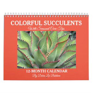 Calendrier des succulents colorés avec conseils de