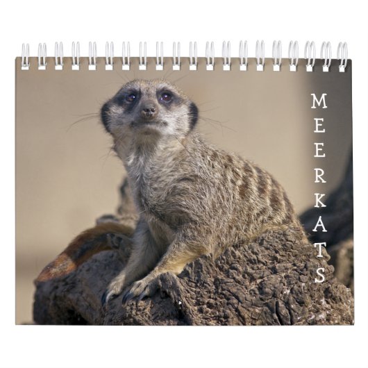 Calendrier des suricates (Protection)