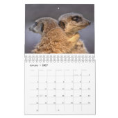 Calendrier des suricates (Jan 2027)