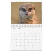 Calendrier des suricates (Mar 2027)