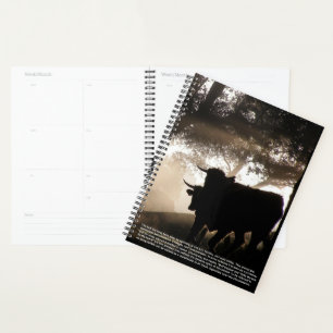 Calendrier des symboles Bull