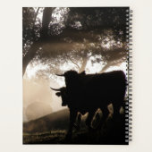 Calendrier des symboles Bull (Dos)