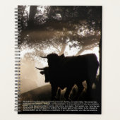 Calendrier des symboles Bull (Devant)