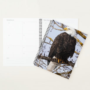 Calendrier des symboles de l'aigle